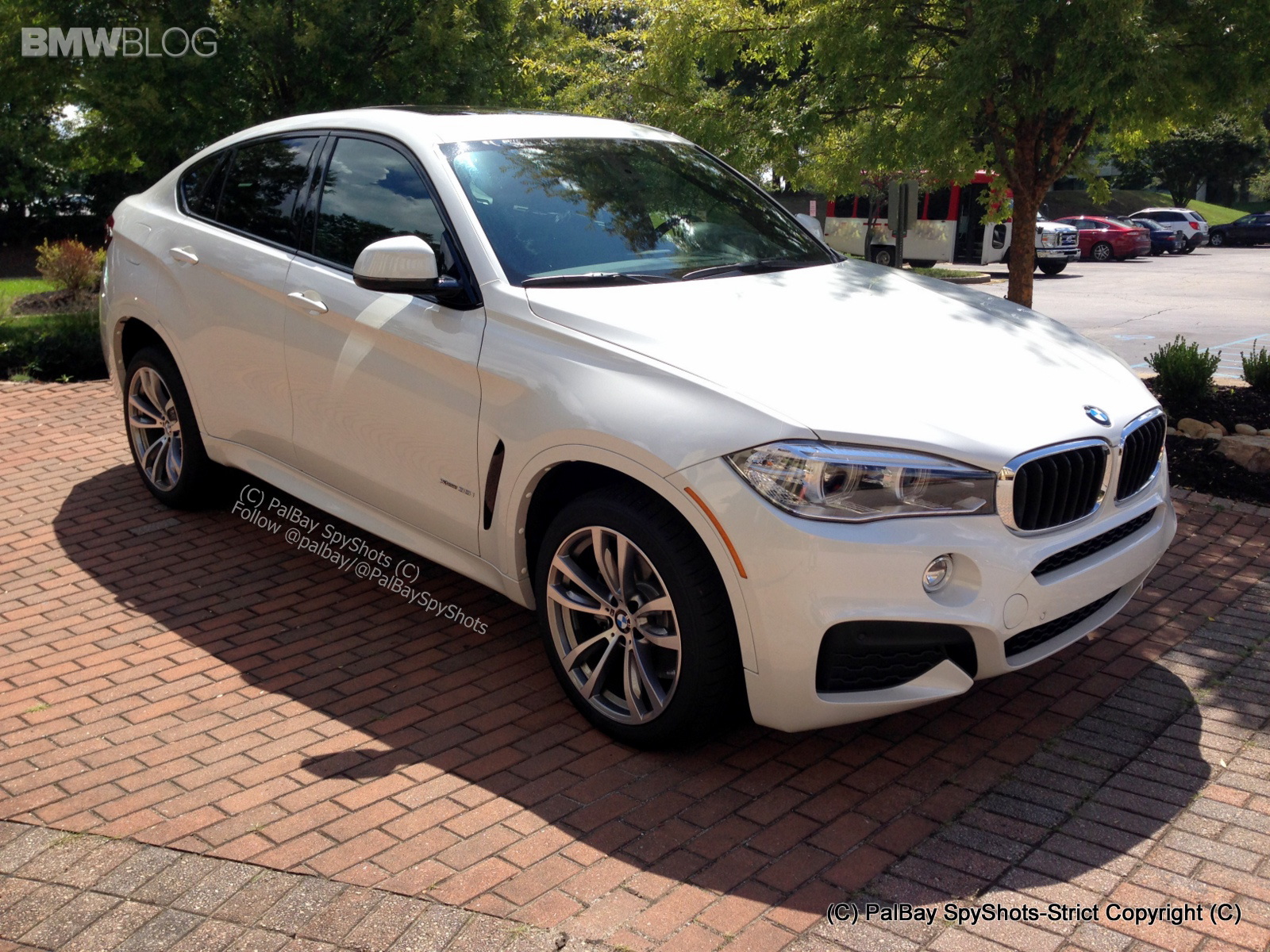 Bmw x6 sport package #5