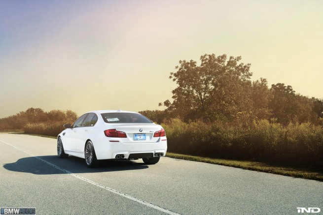BMW-M5-IND-81