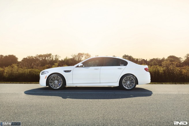 BMW-M5-IND-82