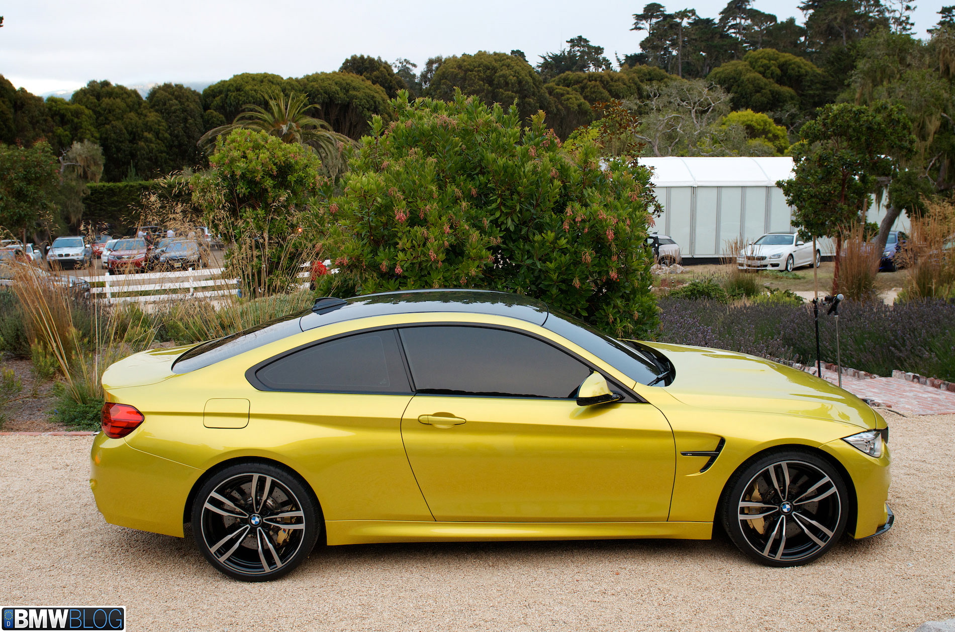 BMW-m4-pebble-beach-09.jpg