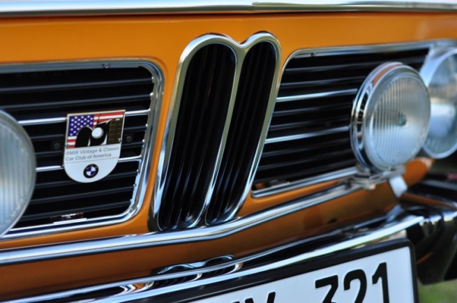 DSC_0041 (800x531)