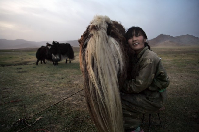 Mongolia.ro 15