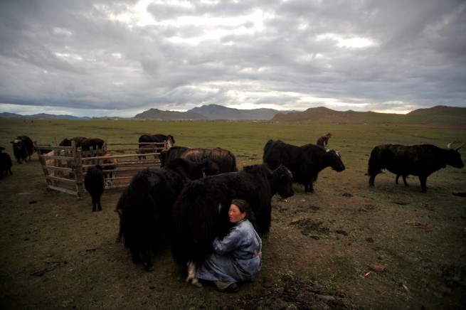 Mongolia.ro 17