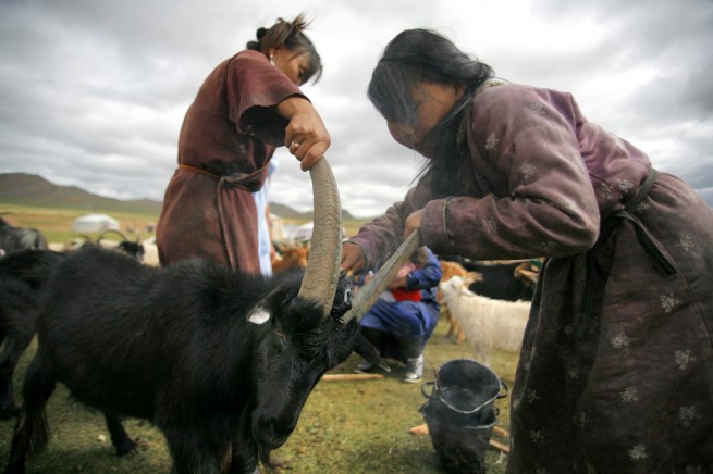 Mongolia.ro 18
