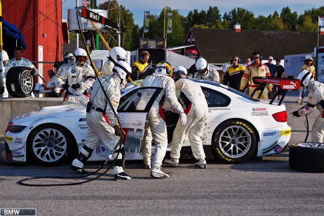 alms-vir-01