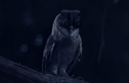 Video: BMW Night Vision New Features